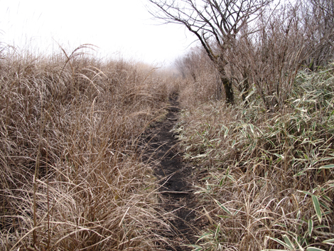 20181205hike (178)
